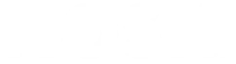 alohashopus.com